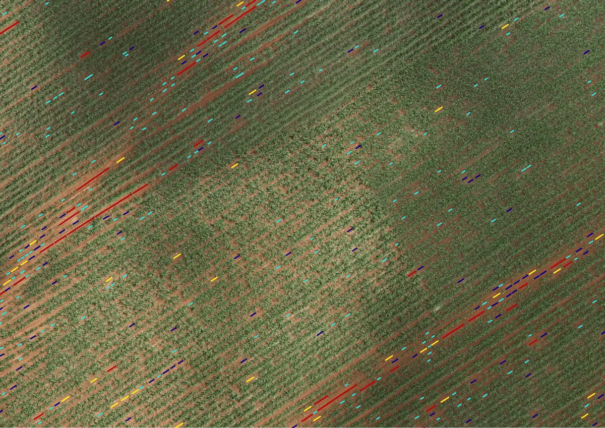 Mapa de falhas de plantio em cana-de-açúcar, com os trechos falhos destacados sobre a imagem aérea