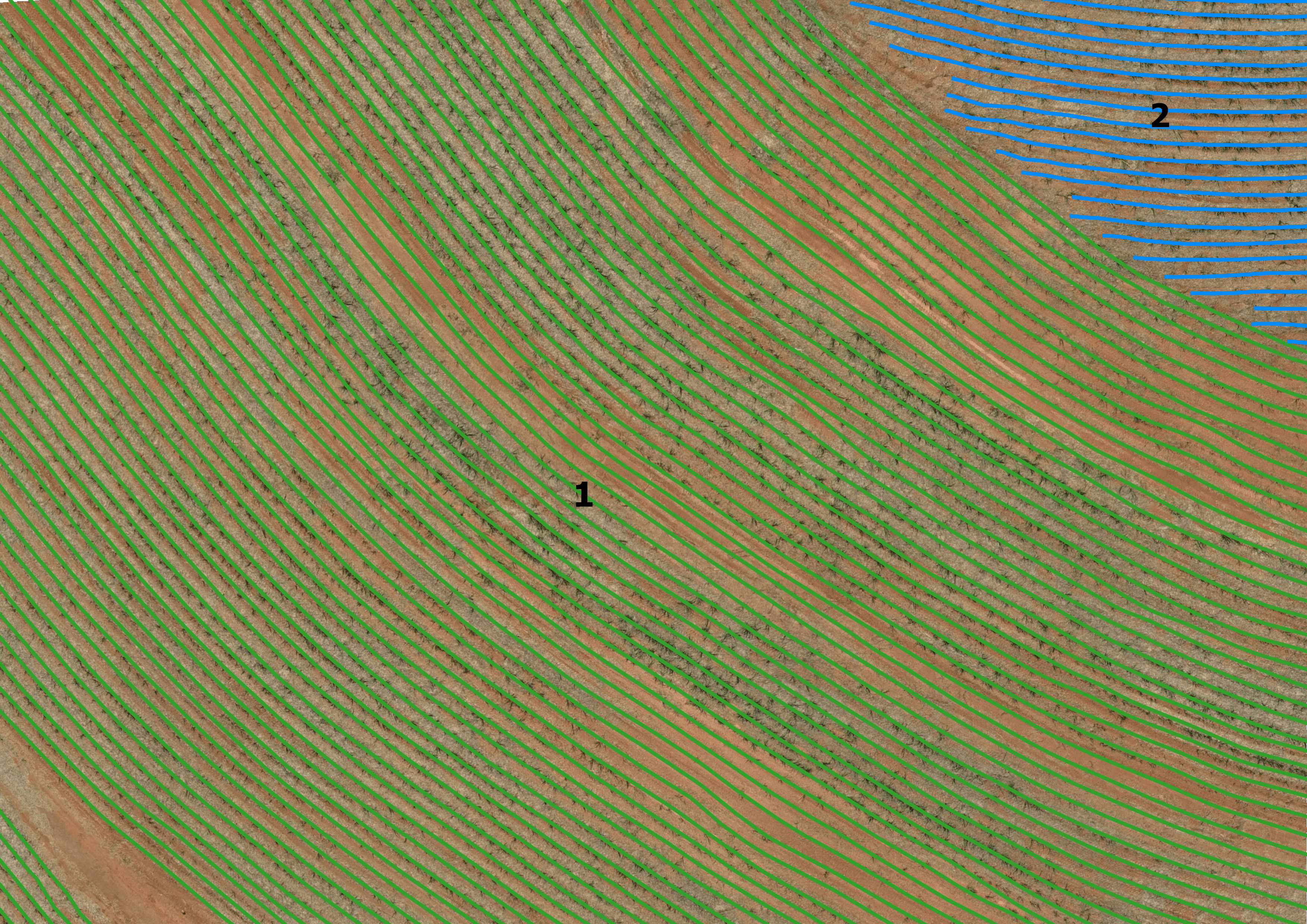 Linhas de Reconstituição em área de matança